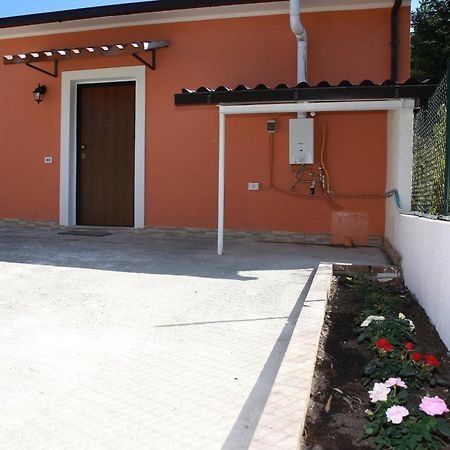 B&B La La Rose Piedimonte San Germano Екстериор снимка